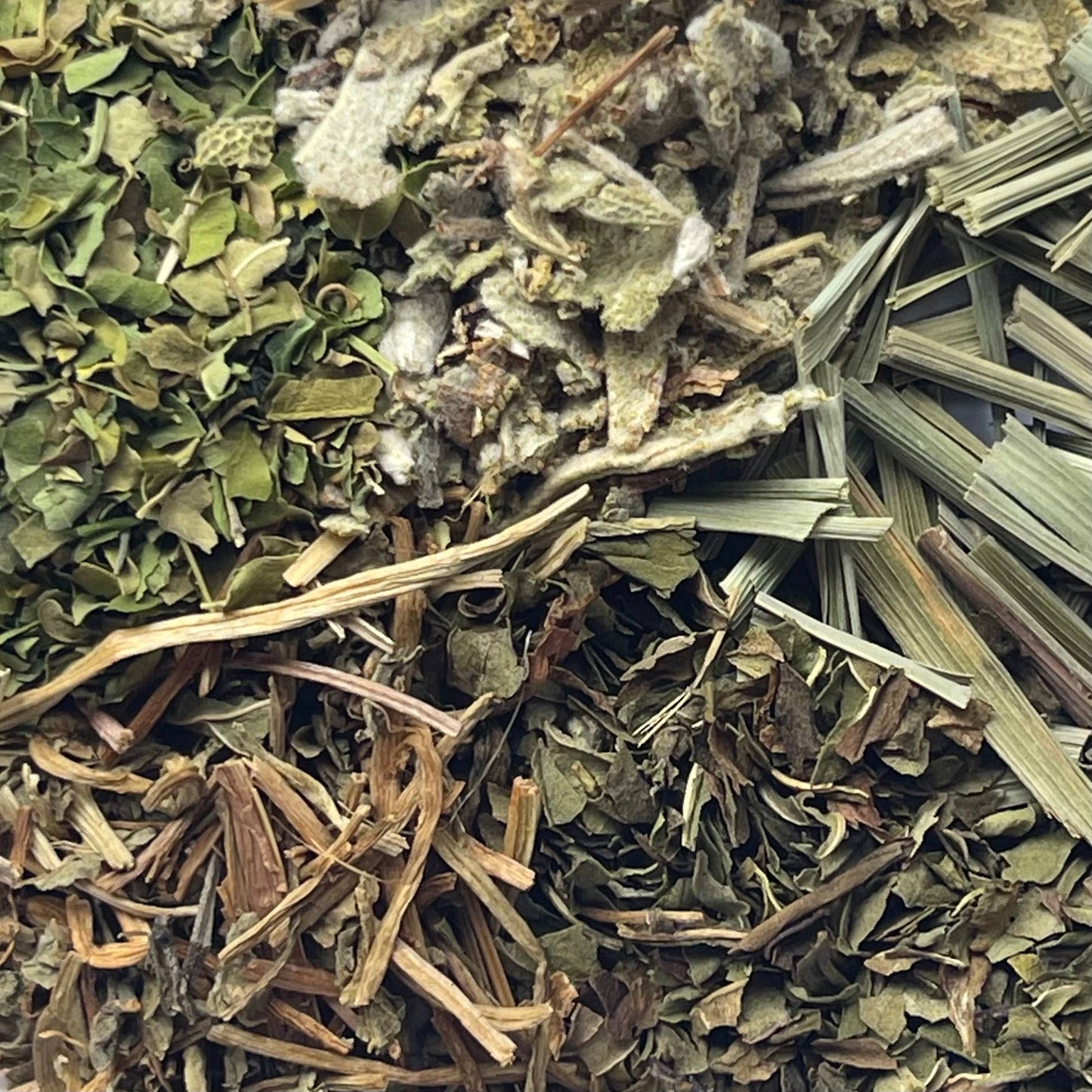 Peppermint, Moringa, Lemongrass Loose Leaf Tea for Focus