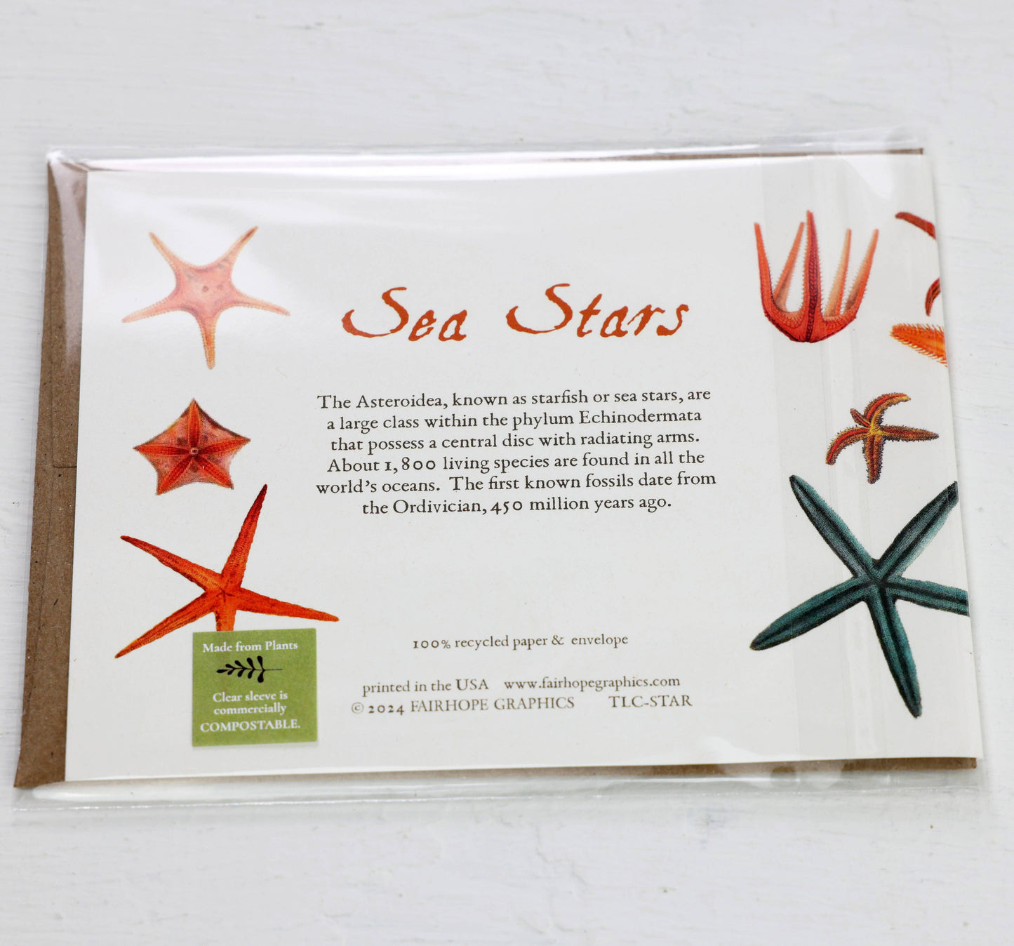 Sea Stars Card