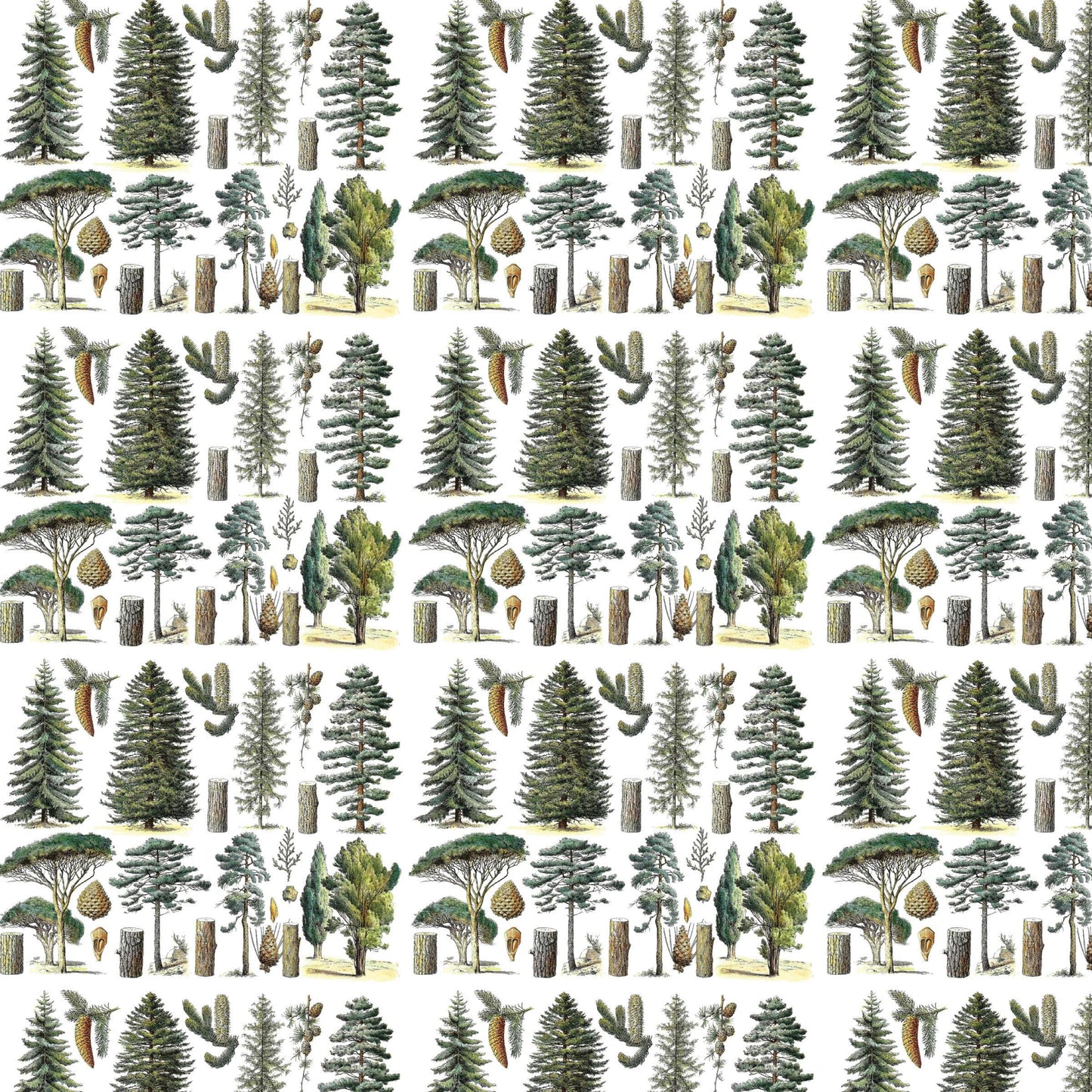Conifer Forest Gift Wrap