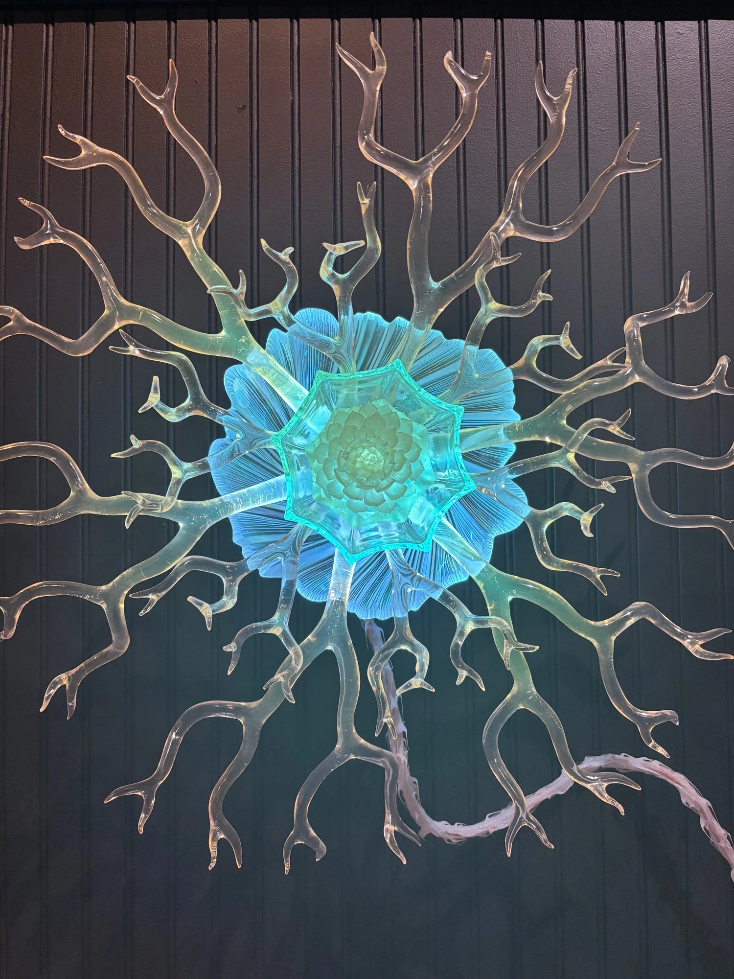 Light Beings Golden Gate Art Gallery