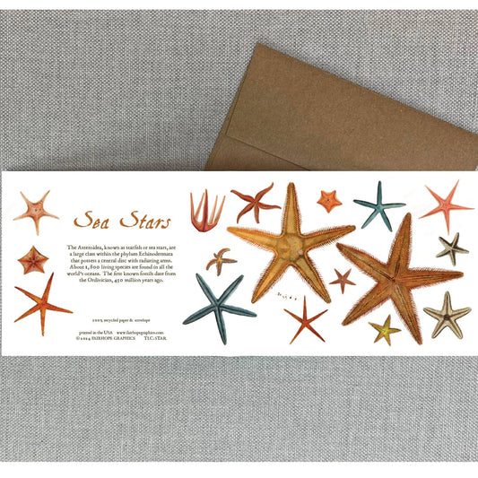 Sea Stars Card