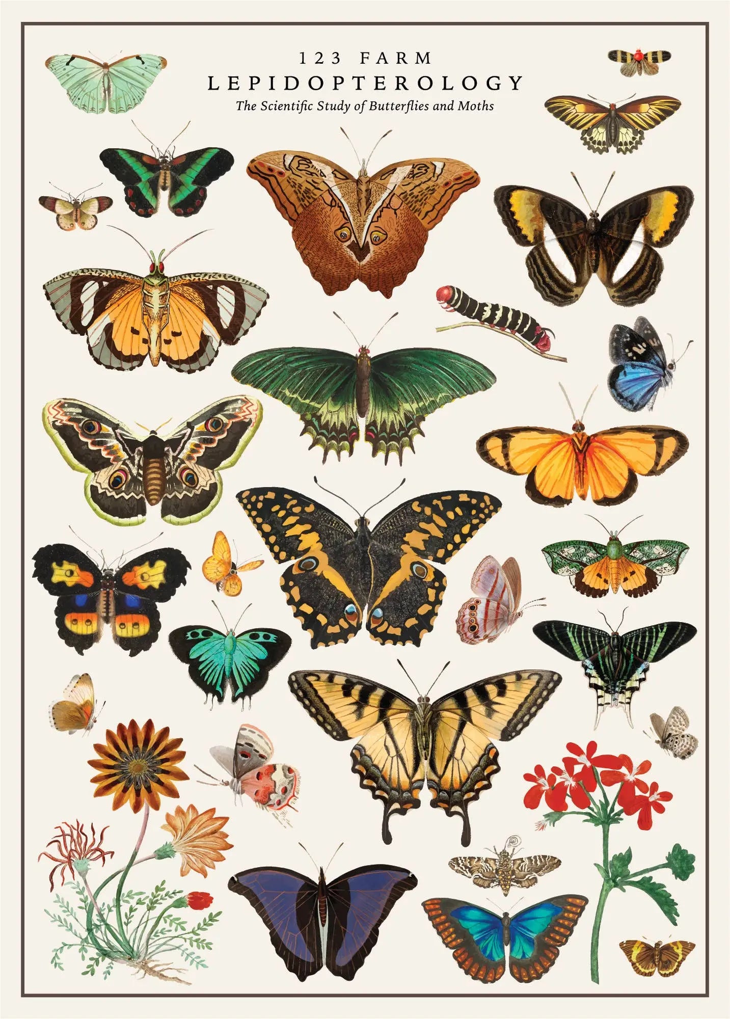 Vintage Posters Wrapping Paper - Butterfly 123 Farm