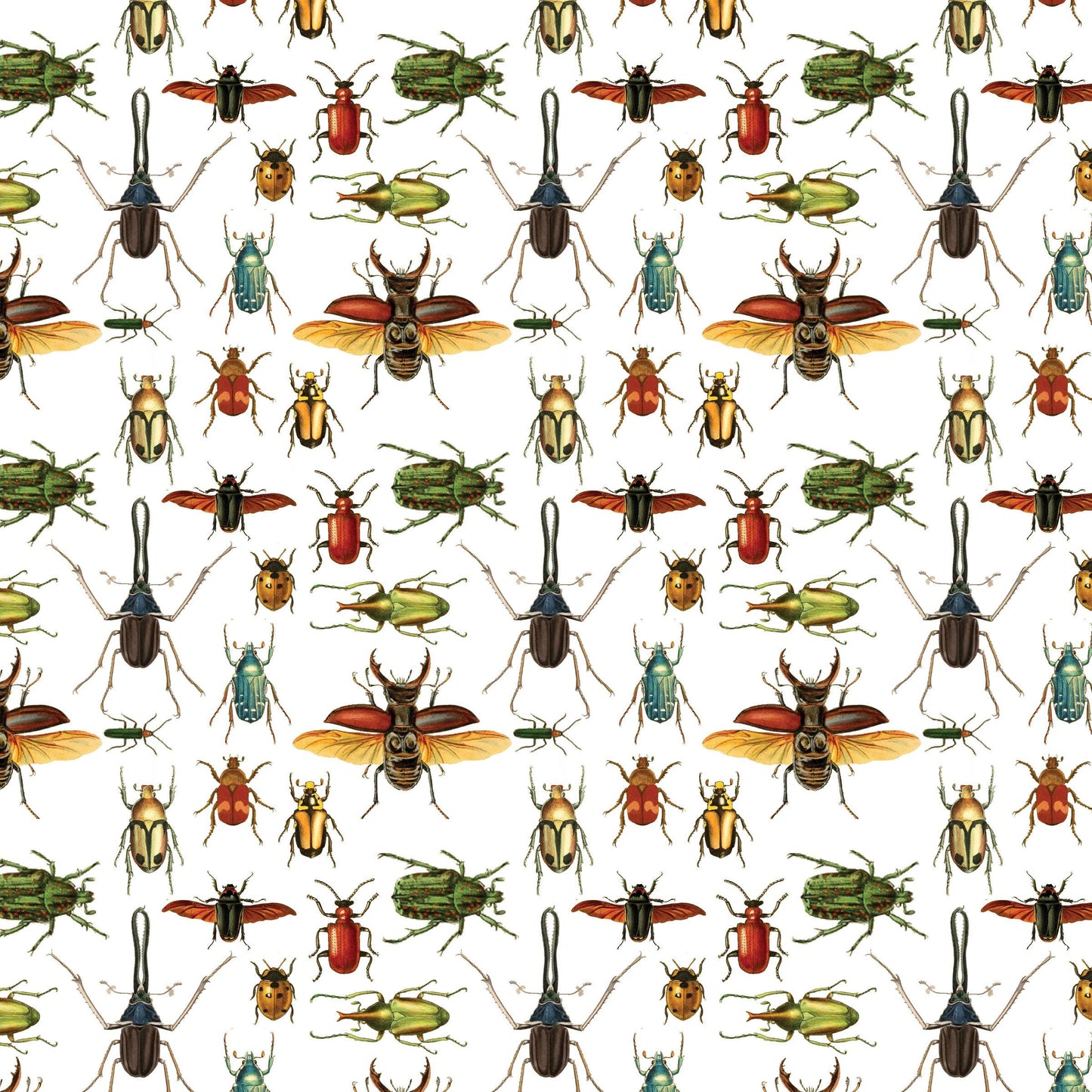 Beetles Gift Wrap