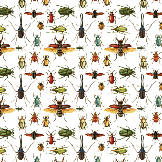 Beetles Gift Wrap