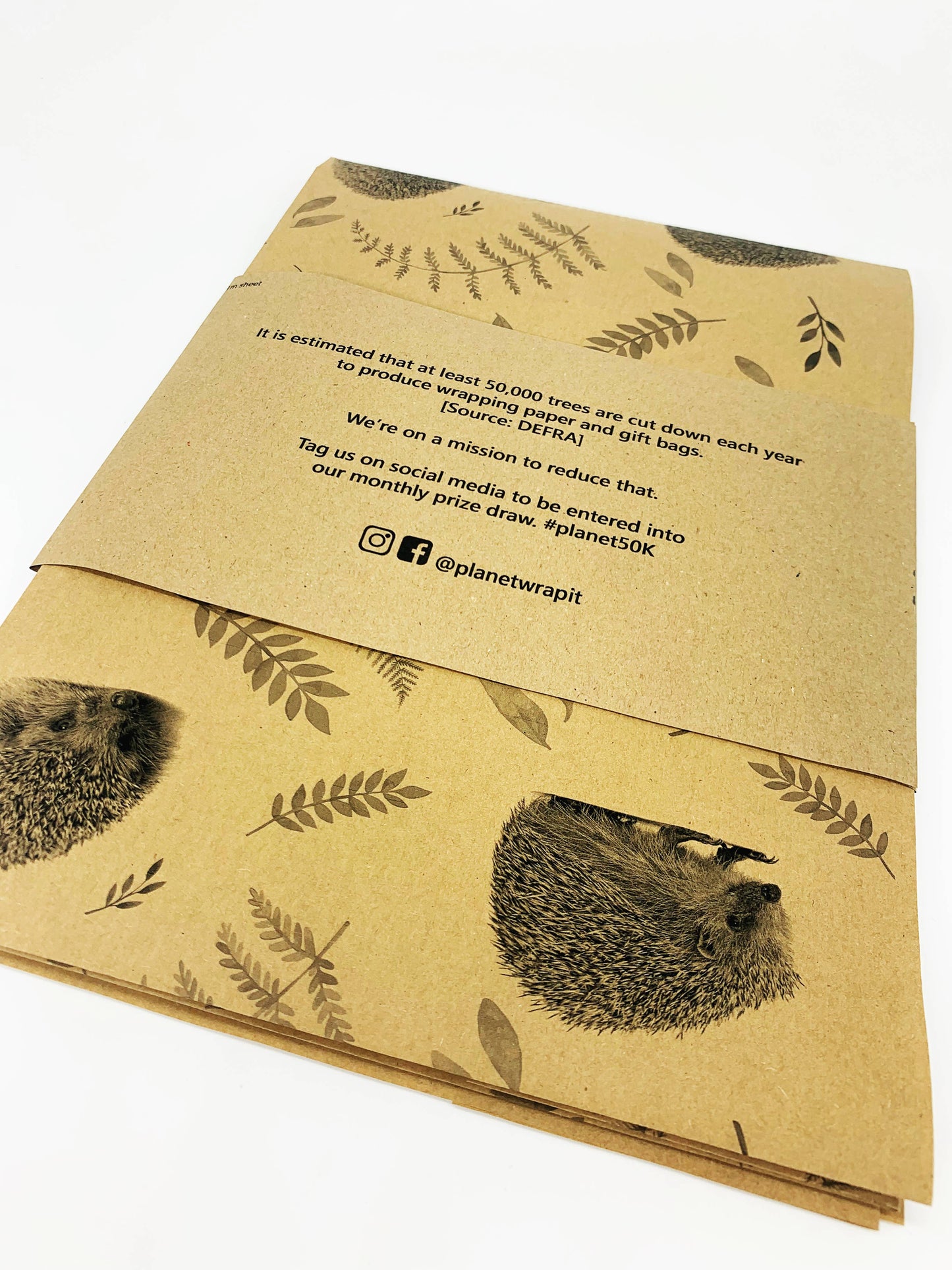 Hedgehogs Recycled Eco Kraft Wrapping Paper: 1m x 50cm A4 Folded Sheet
