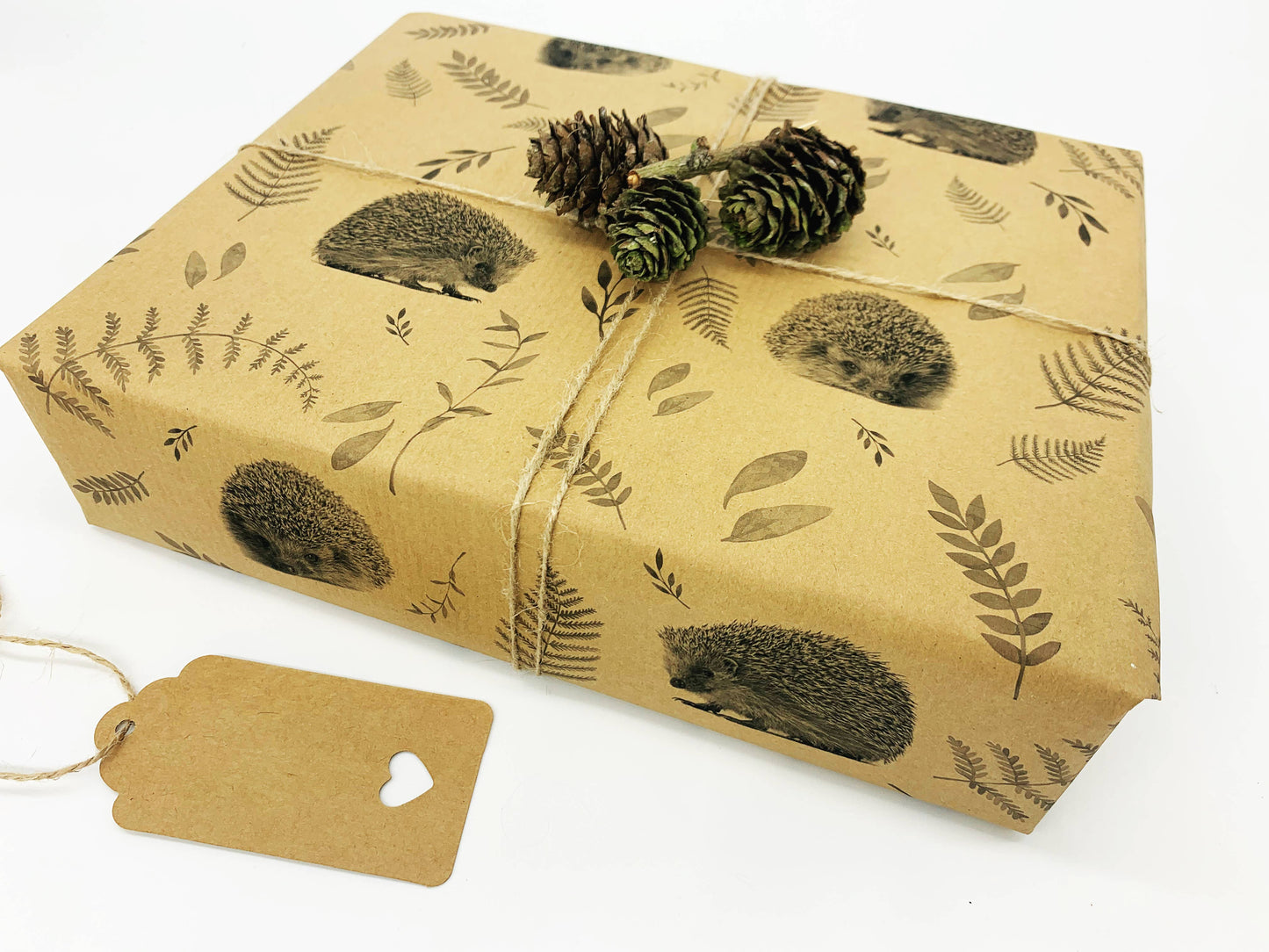 Hedgehogs Recycled Eco Kraft Wrapping Paper: 1m x 50cm A4 Folded Sheet