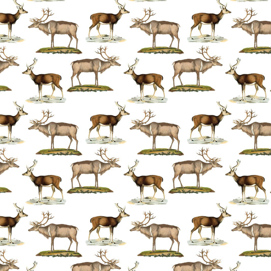 Deer Gift Wrap