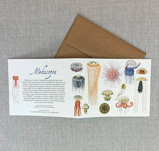 Medusozoa Card