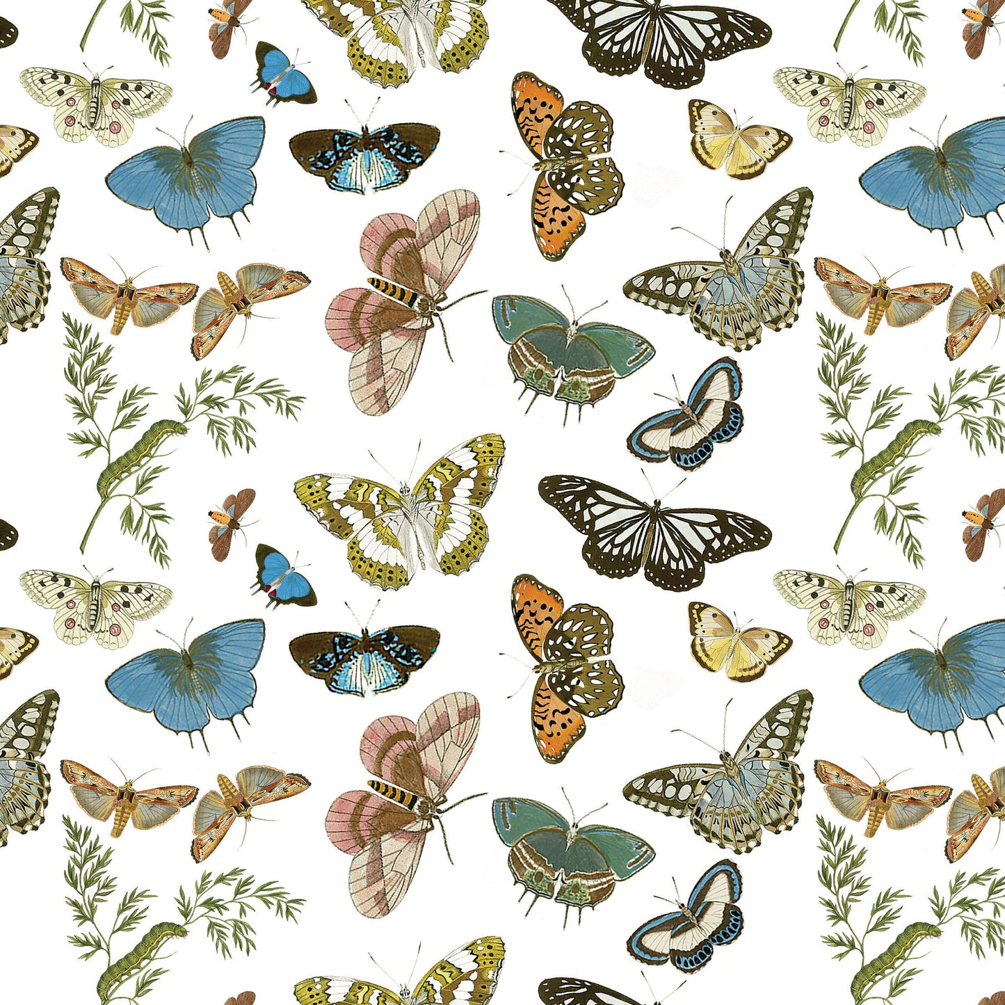Butterflies and Moths Gift Wrap Single Sheet