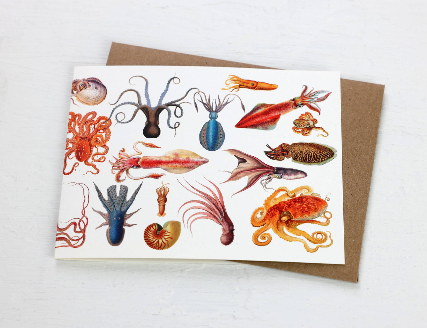Cephalopods Card