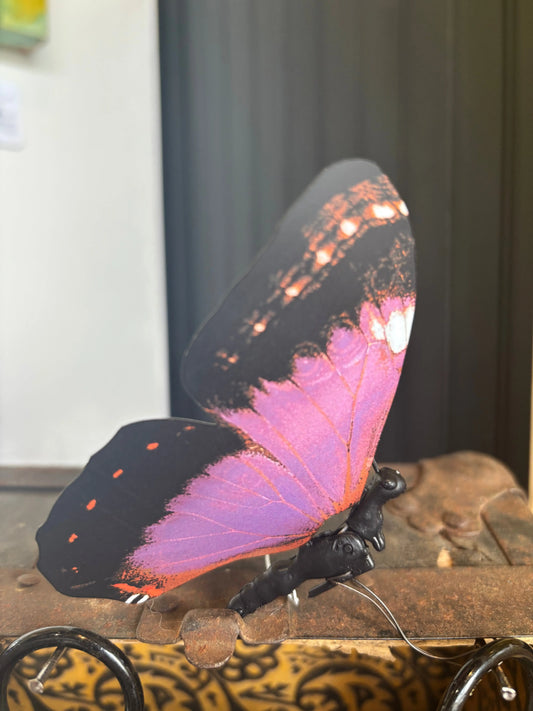 Butterfly (kinetic) Purple Polyura to add beauty to your space Golden Gate Art Gallery