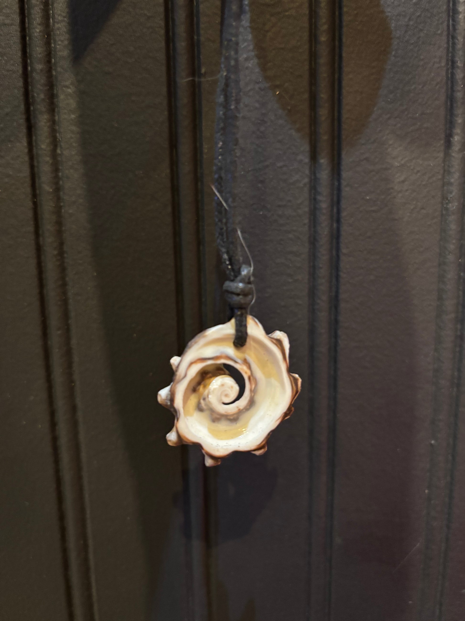 Shell-shaped pendant on a black cord against a dark background