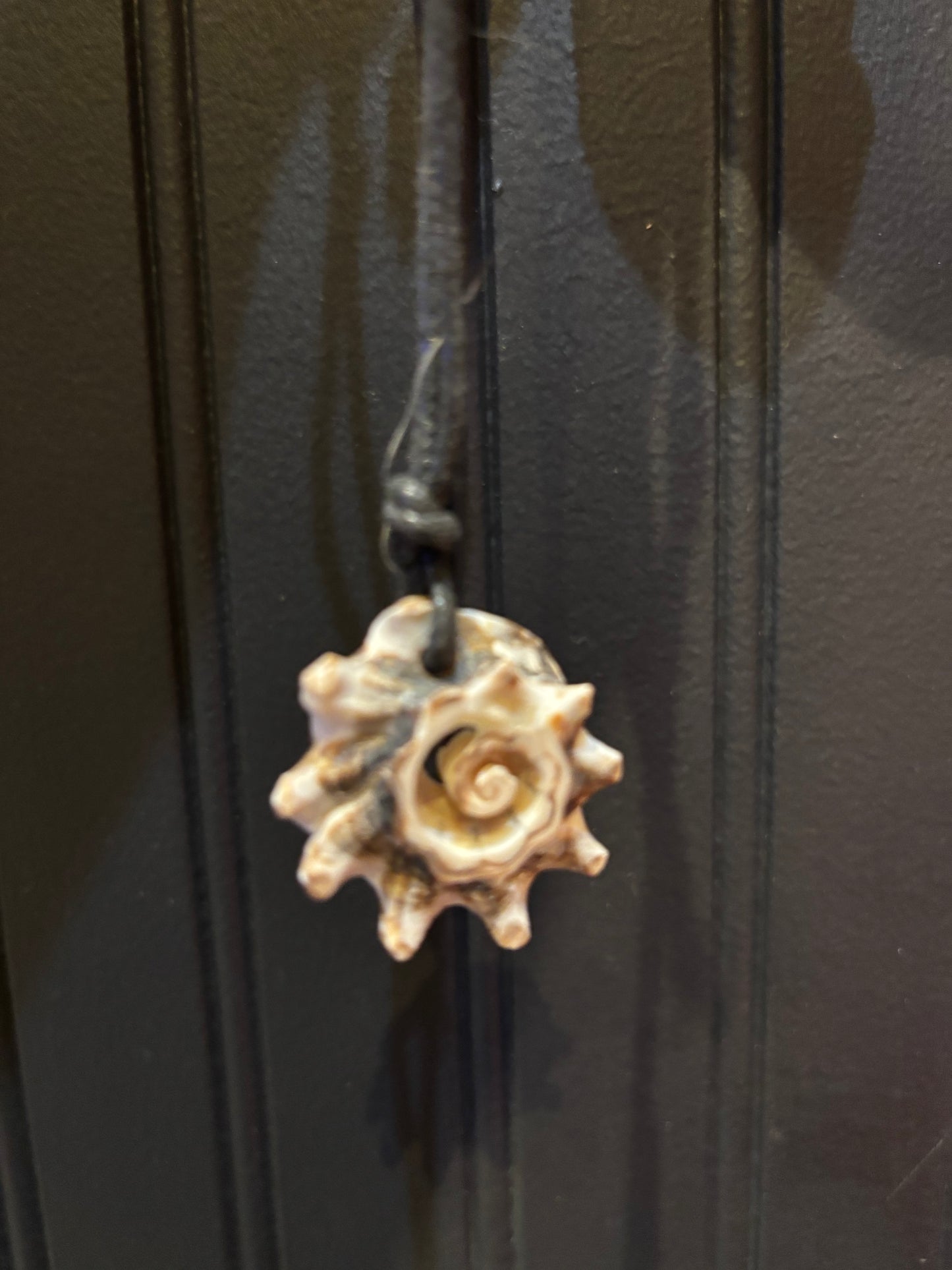 Seashell necklace, natural necklace