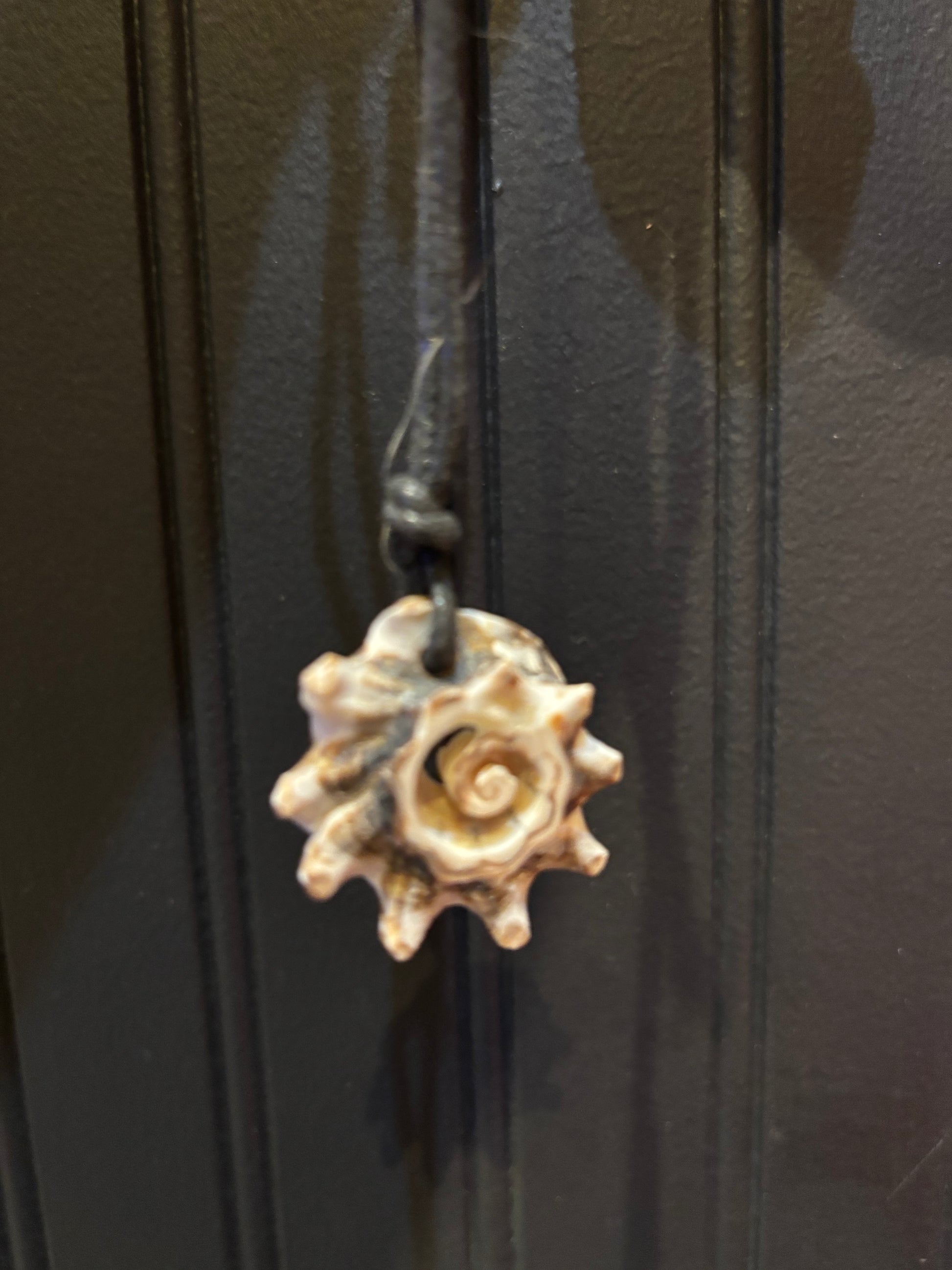 Seashell necklace, natural necklace