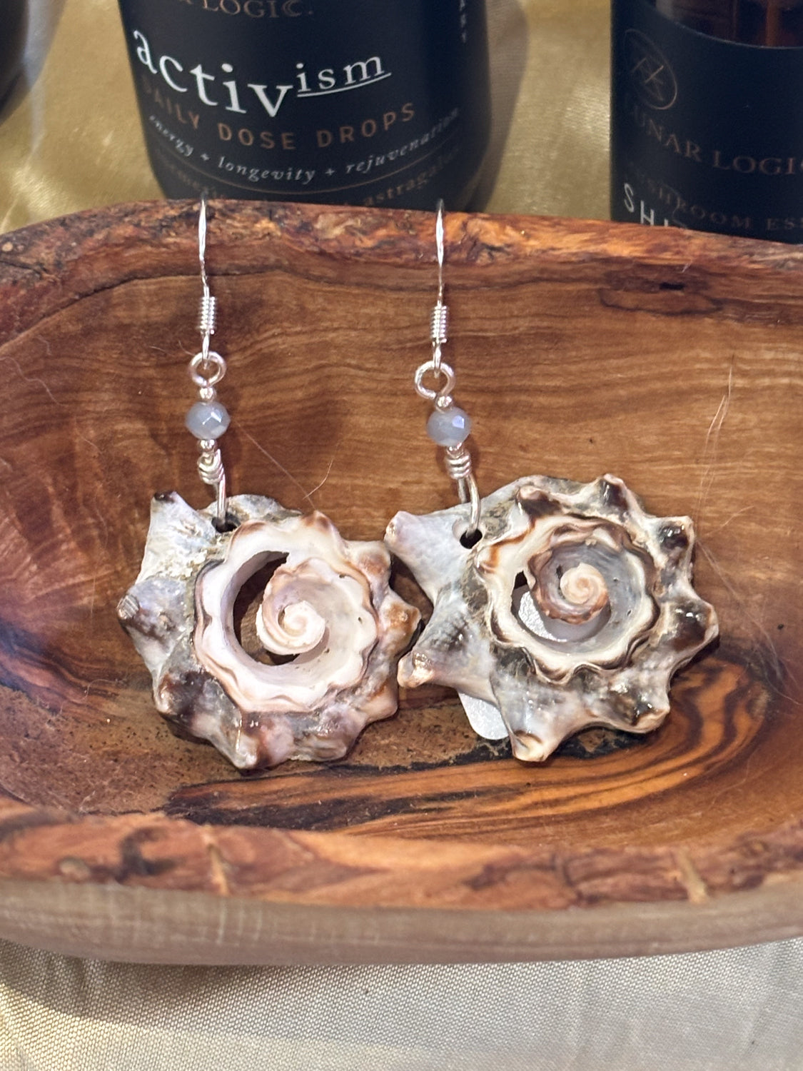 Shell Earrings
