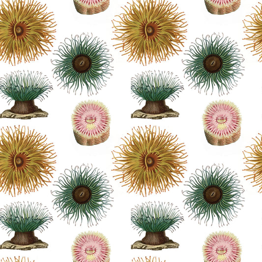 Sea Anemones Gift Wrap Single Sheet