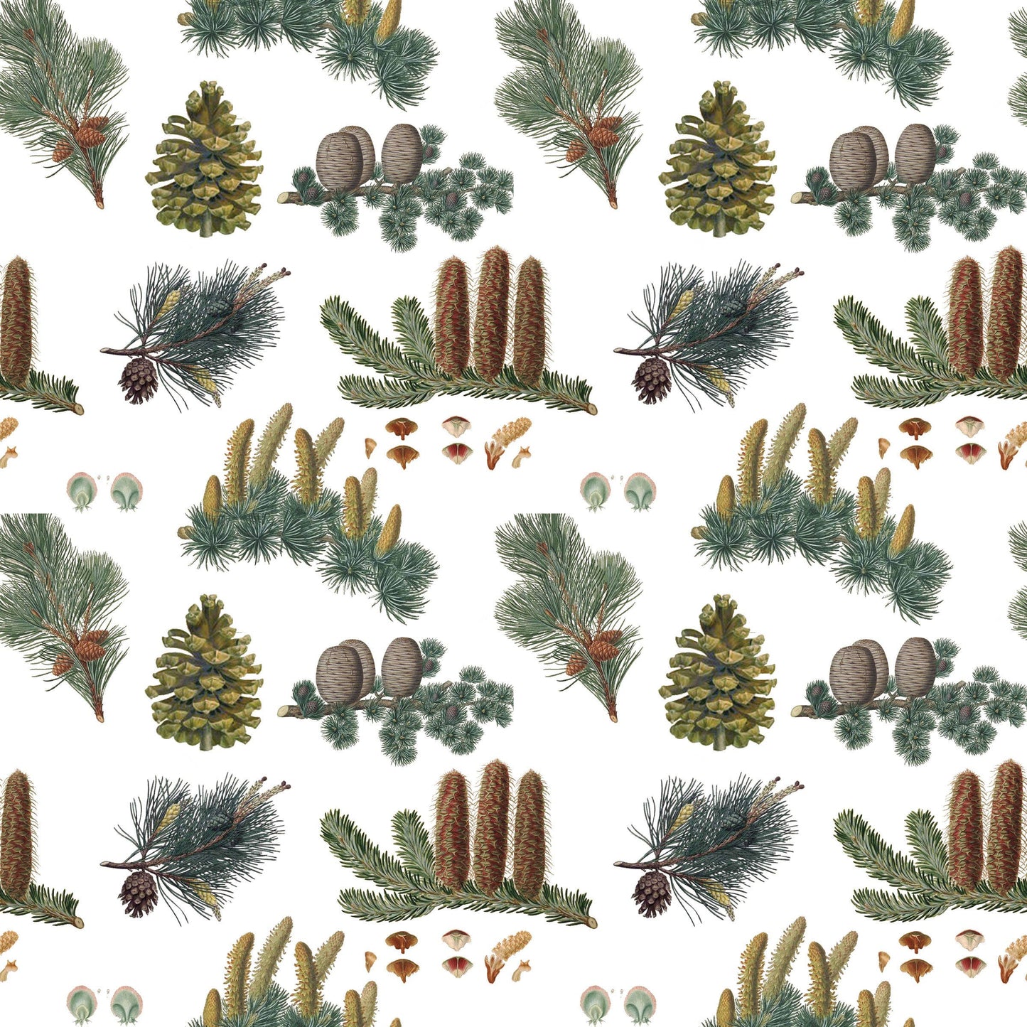 Pine Cones Gift Wrap