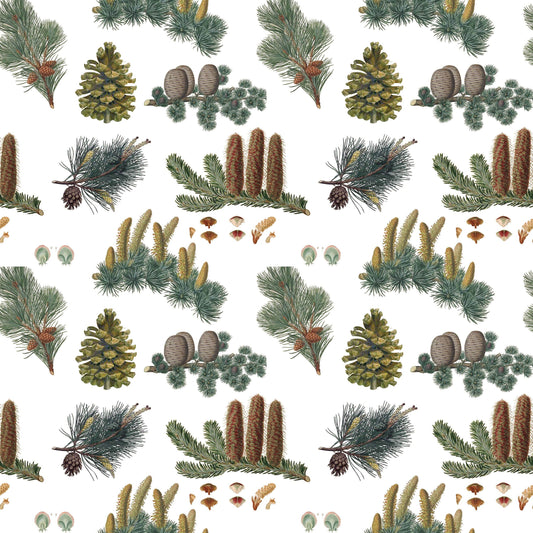 Pine Cones Gift Wrap