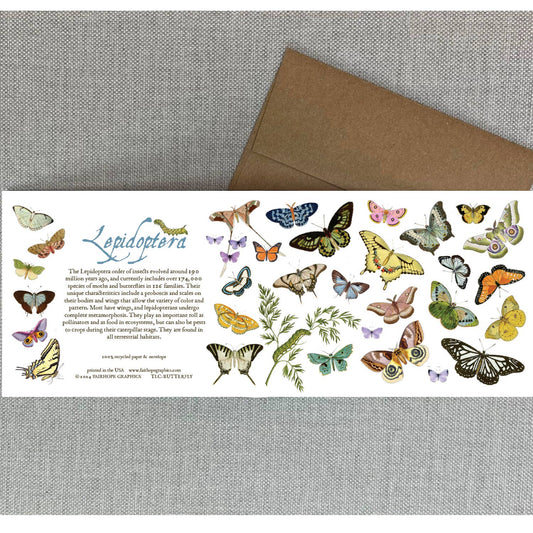 Butterflies and Moths Card