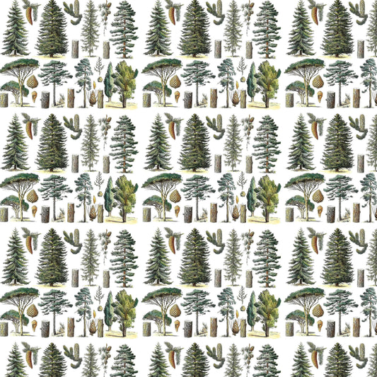 Conifer Forest Gift Wrap