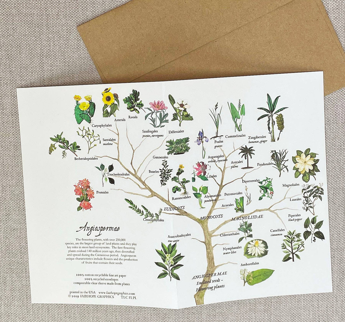 Flowering Plants Branch Card