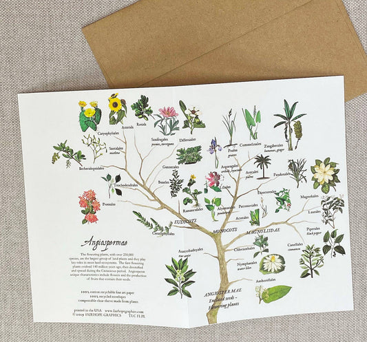 Flowering Plants Branch Card