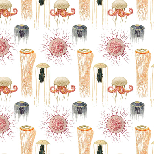 Medusozoa Gift Wrap Single Sheet