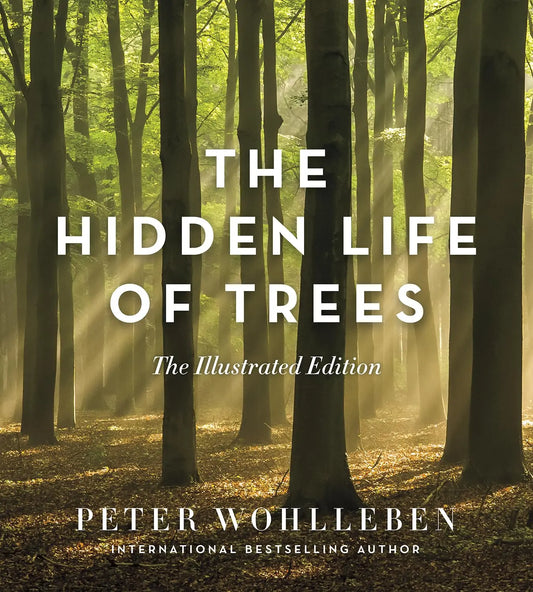 The Hidden LIfe of Trees The Illustrated Edition Golden Gate Art Gallery