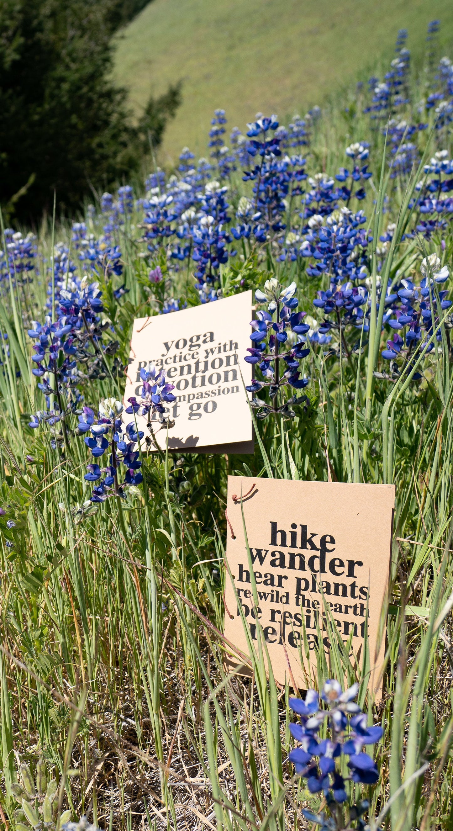 hike, wander, hear plants, rewild... Natural Greeting Card by artist Mezza9